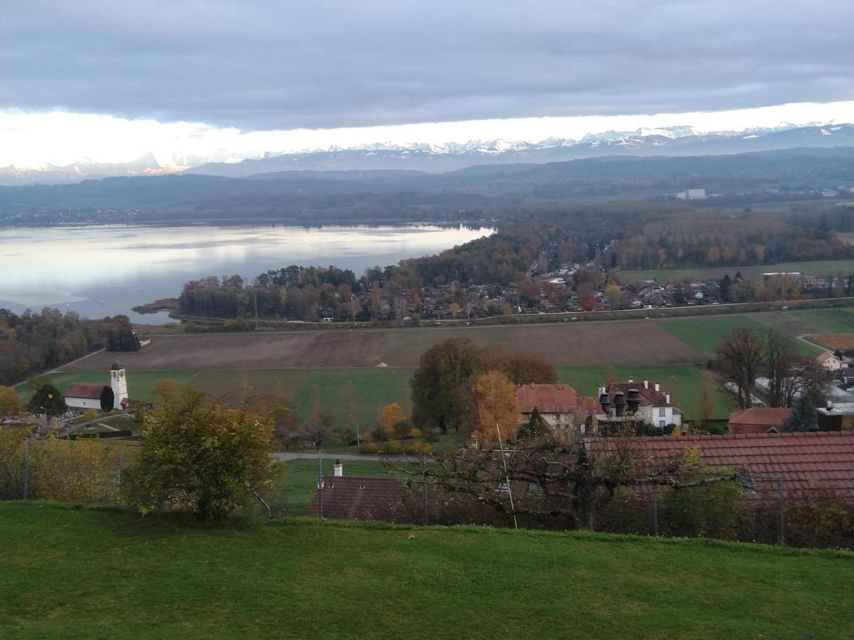 Swiss Borzoi House Bed & Breakfast Vully-les-Lacs ภายนอก รูปภาพ