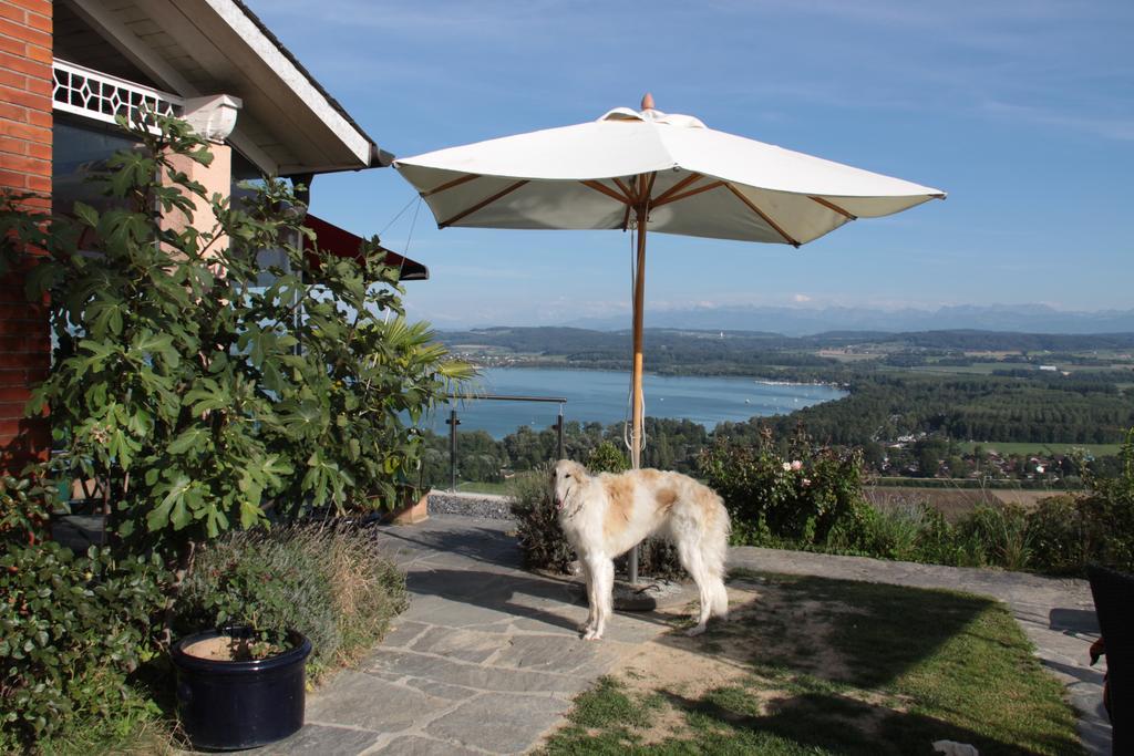 Swiss Borzoi House Bed & Breakfast Vully-les-Lacs ห้อง รูปภาพ