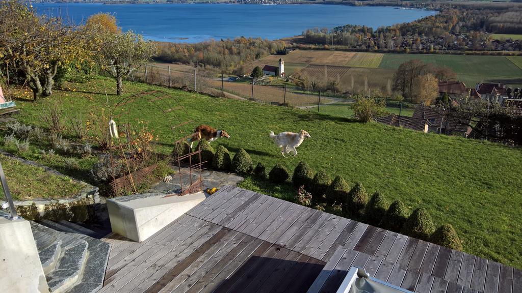 Swiss Borzoi House Bed & Breakfast Vully-les-Lacs ภายนอก รูปภาพ