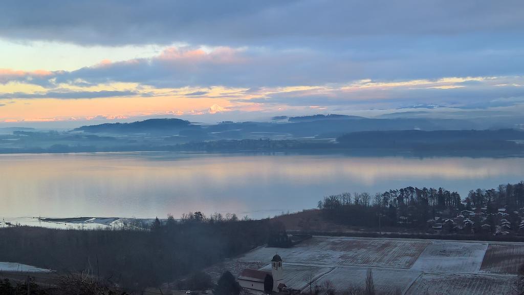 Swiss Borzoi House Bed & Breakfast Vully-les-Lacs ภายนอก รูปภาพ