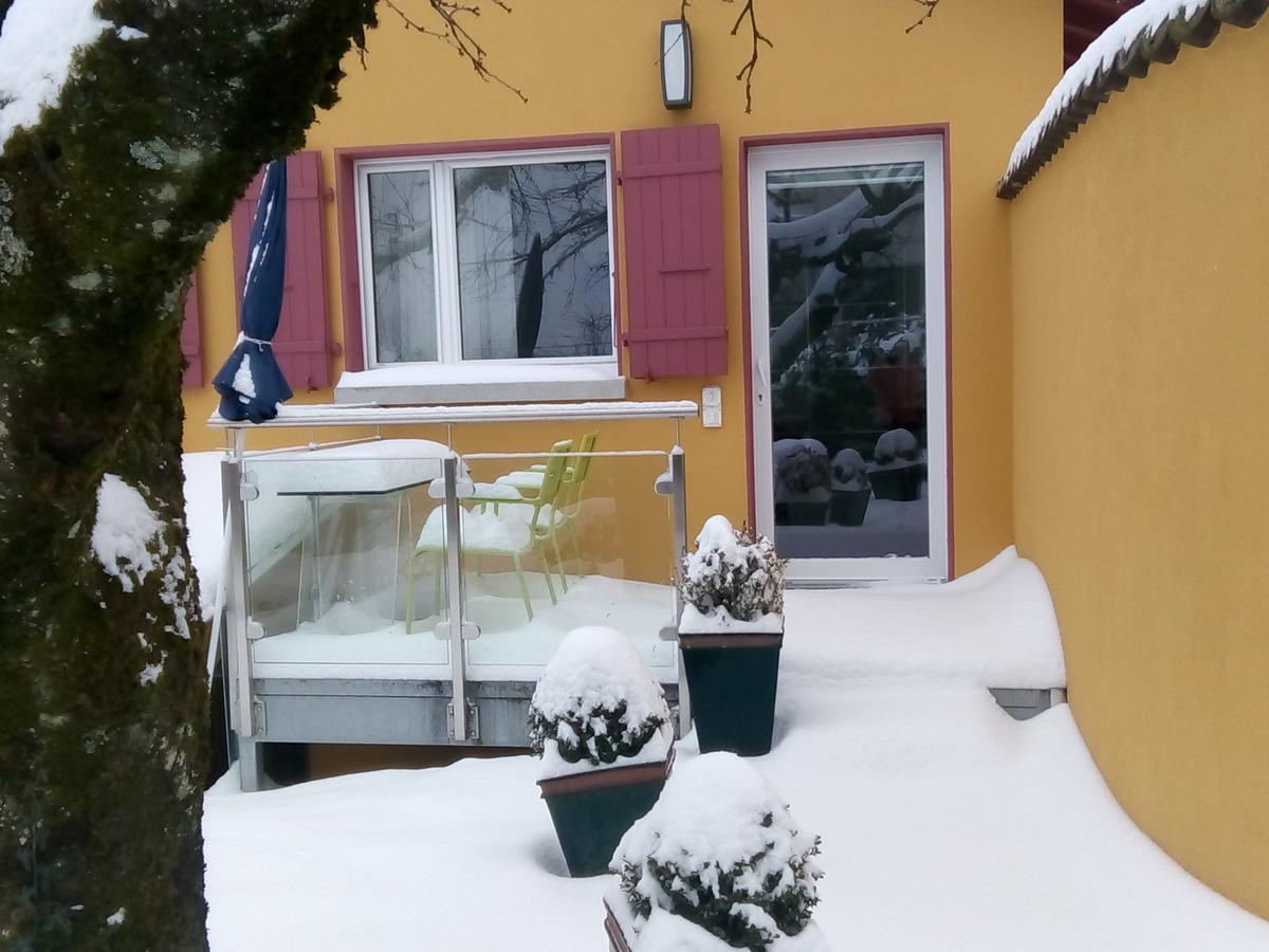 Swiss Borzoi House Bed & Breakfast Vully-les-Lacs ภายนอก รูปภาพ