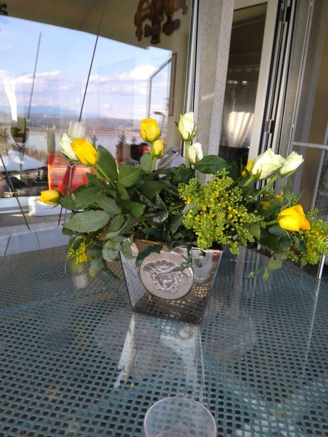 Swiss Borzoi House Bed & Breakfast Vully-les-Lacs ภายนอก รูปภาพ