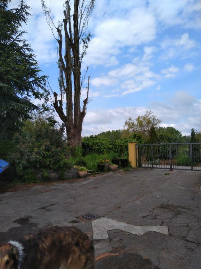 Swiss Borzoi House Bed & Breakfast Vully-les-Lacs ภายนอก รูปภาพ