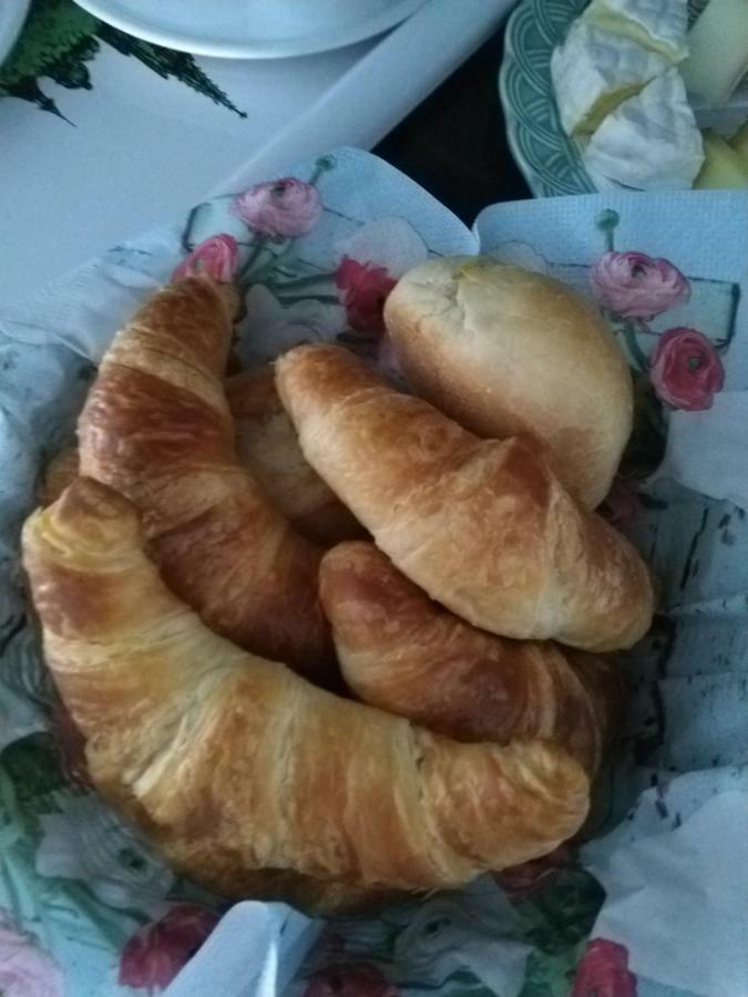 Swiss Borzoi House Bed & Breakfast Vully-les-Lacs ภายนอก รูปภาพ